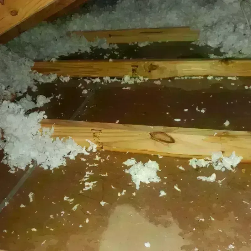 Attic Water Damage in Camp Pendleton North, CA