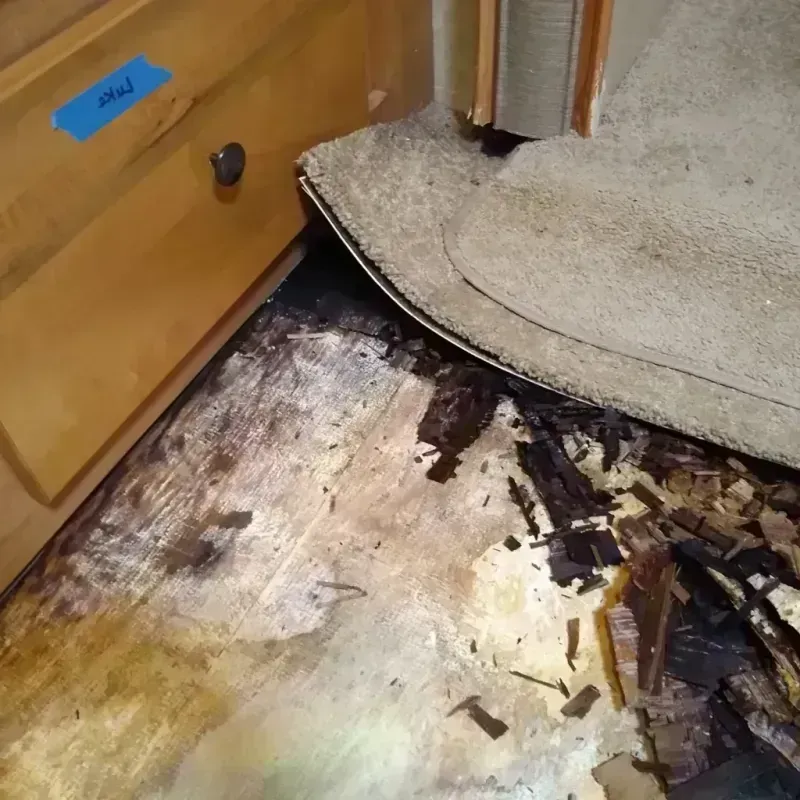 Wood Floor Water Damage in Camp Pendleton North, CA